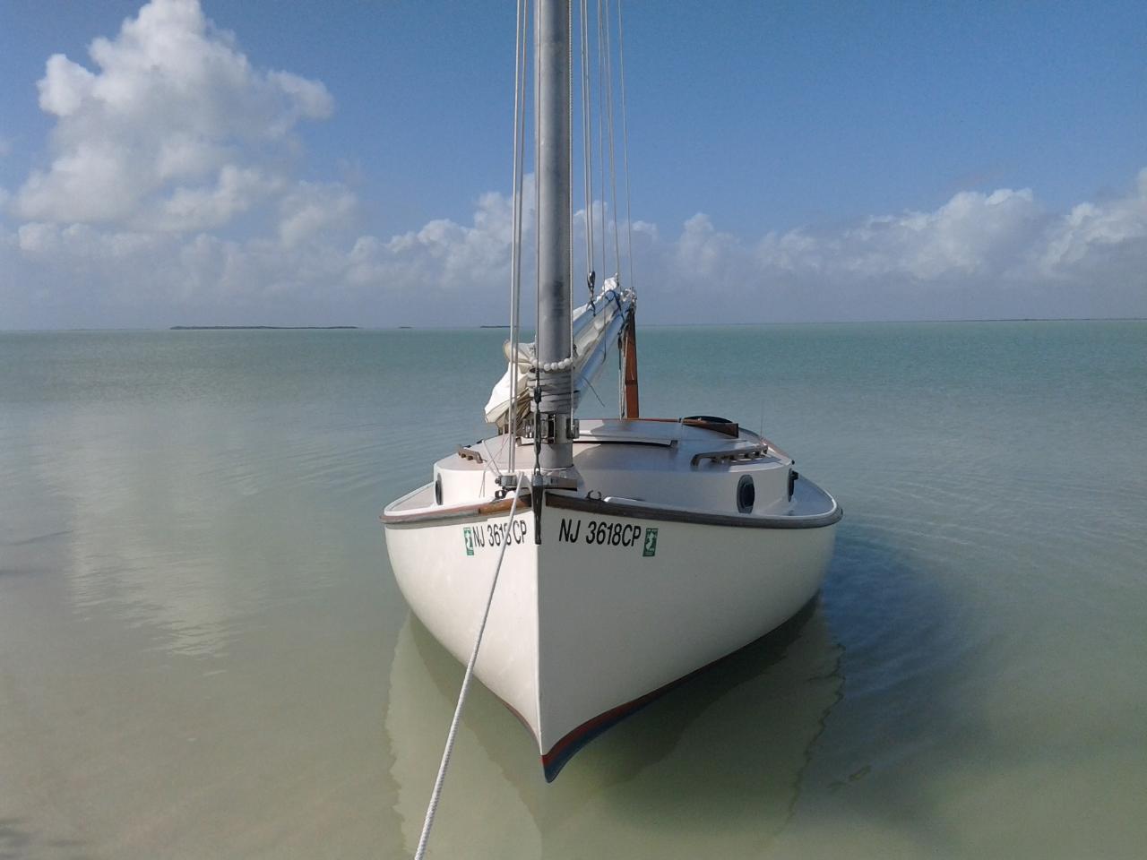 MY LIFE IN THE FLORIDA KEYS AND BEYOND Nest Key Revisited...First This