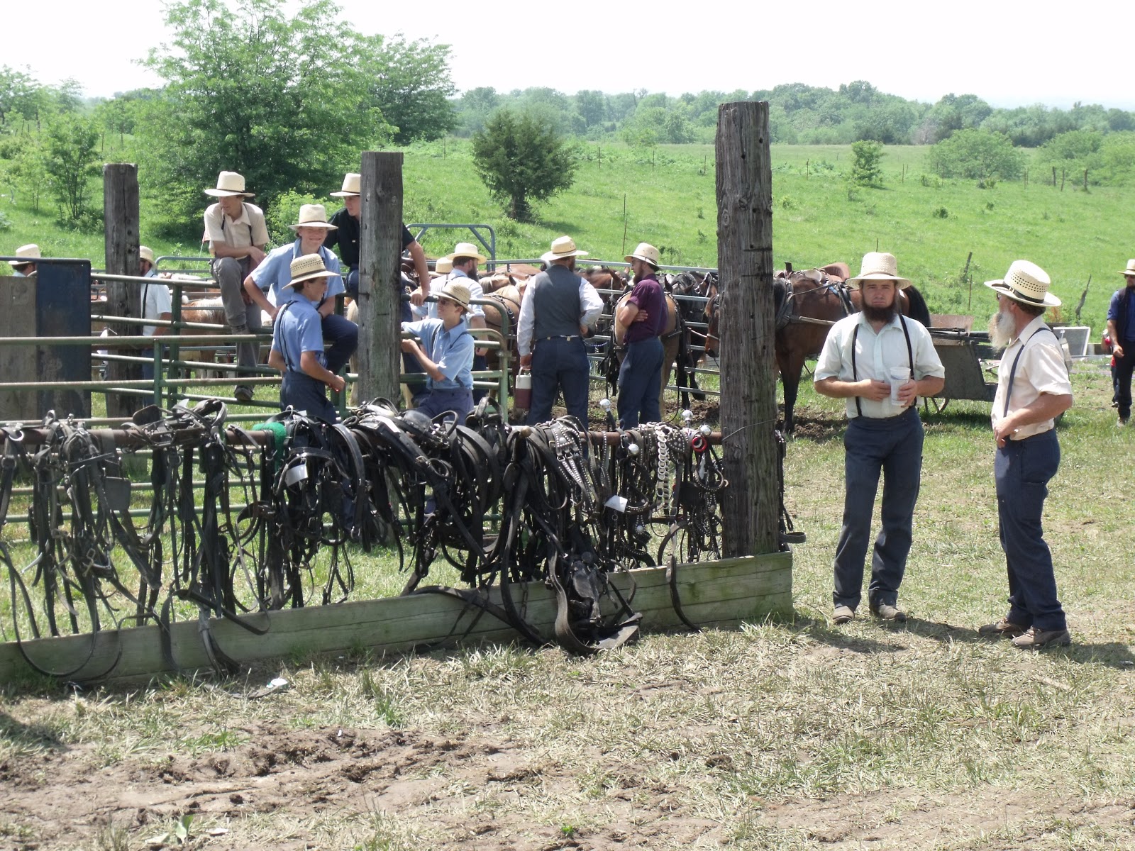 Seriously? Amish Consignment Auction