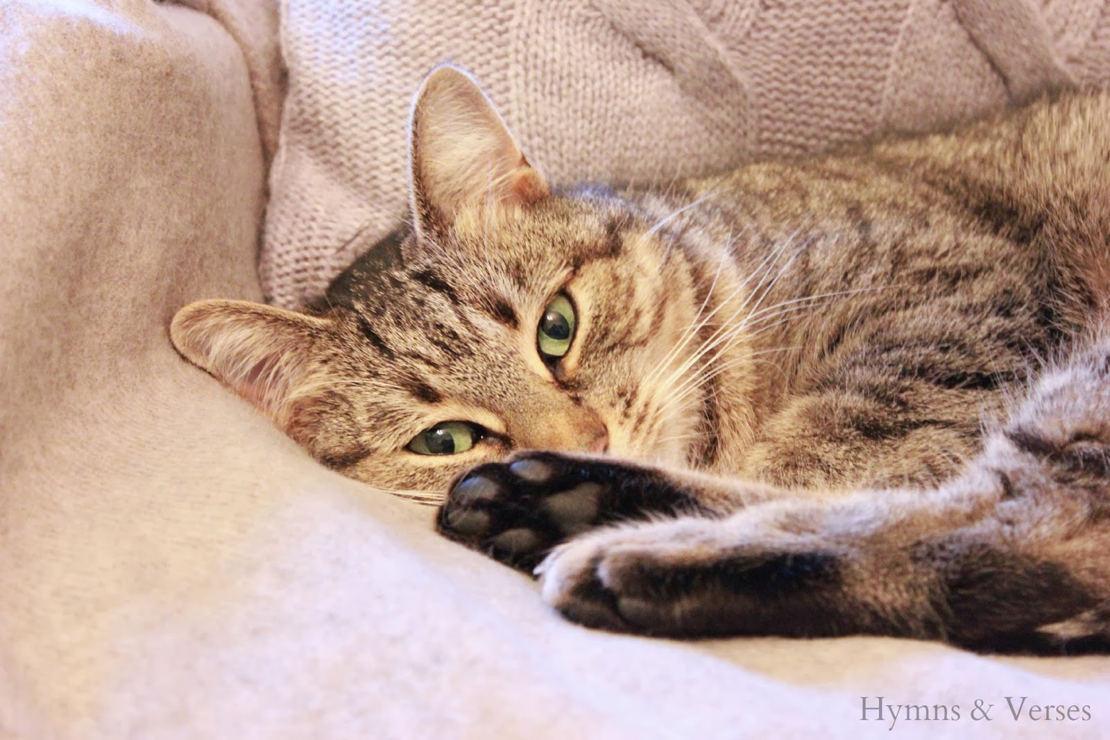 Creating a Warm and Cozy Winter Home Hymns and Verses