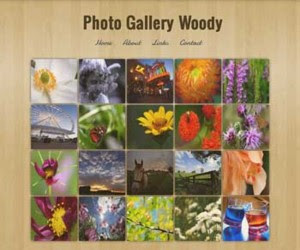 Photo Gallery Woody Blogger Template