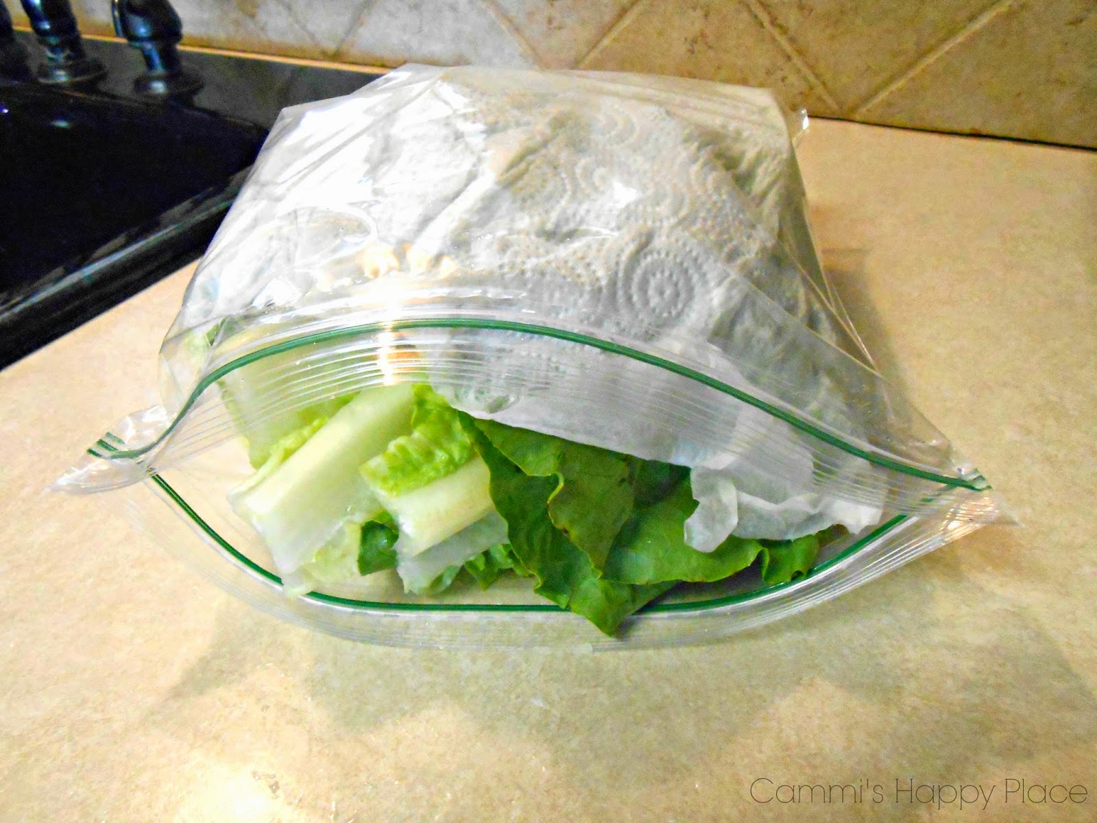Do the same with iceburg lettuce , wash and remove the stem, then wrap in a dry paper towel.