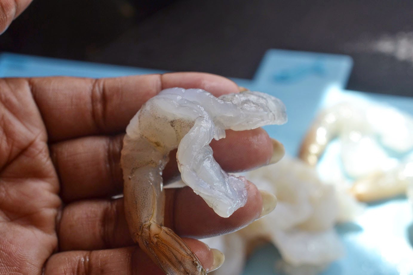 Greedy Girl Fried shrimp & Tartar sauce