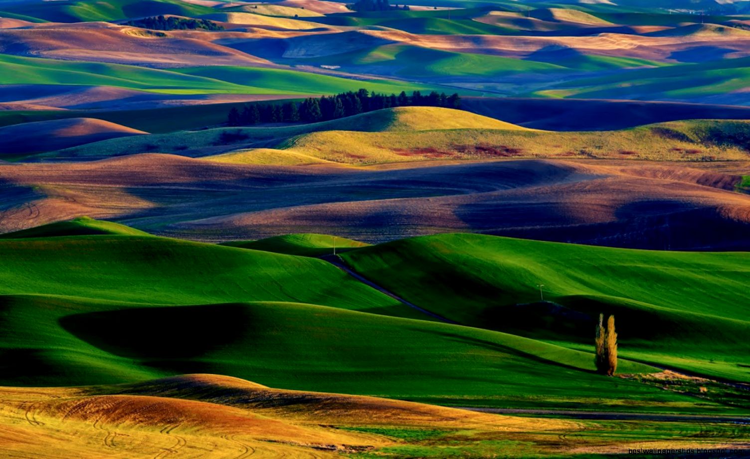Colinas de colores Palouse Hills en Washington Banco de Imágenes Colinas de colores Palouse Hills en Washington Banco de Imágenes