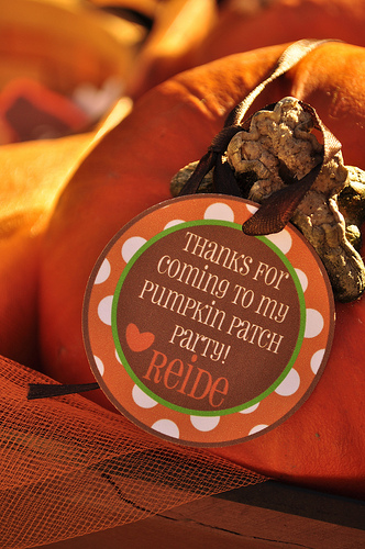 Pumpkin Patch Party Invitation Wording