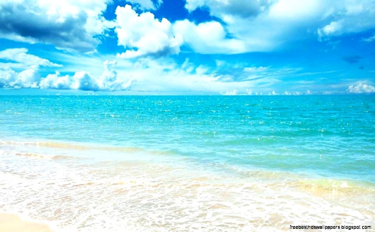 Free WallpaperSea Live Worth Watching Wallpapers of Sea View Free WallpaperSea Live Worth Watching Wallpapers of Sea View