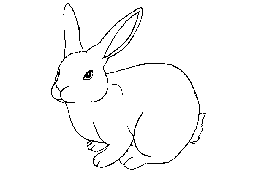 Rabbit For Kid Coloring Page Free wallpaper