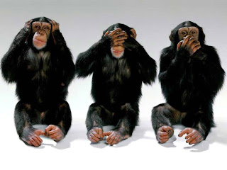 http://3.bp.blogspot.com/-MR5f0OP-eDQ/TWUTgjWVpVI/AAAAAAAABFc/8YQ8t4IDC8Y/s1600/4387macacos.jpg