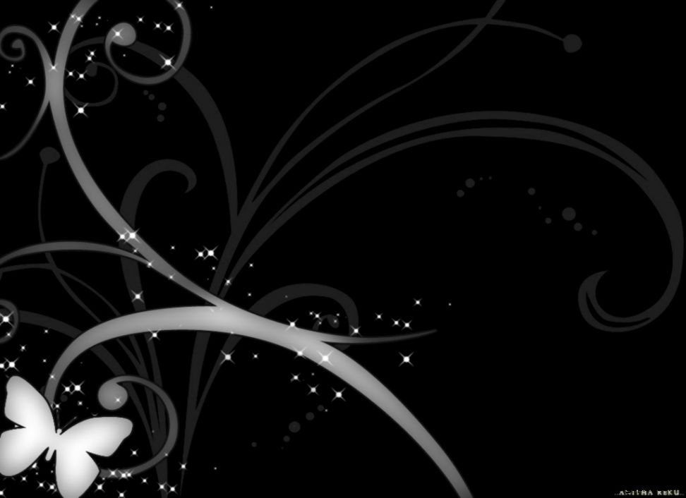 Black and White Butterfly Wallpaper Black and White Butterfly Wallpaper