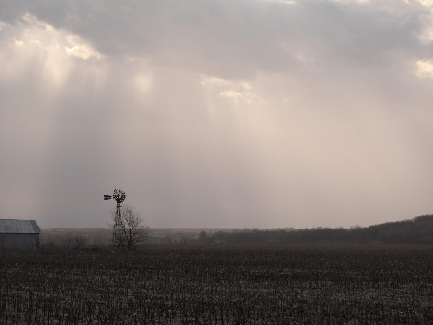 Spring In Kansas