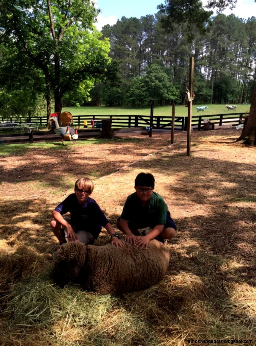 The Art Barn Canton Wallpaper All Hd Wallpapers