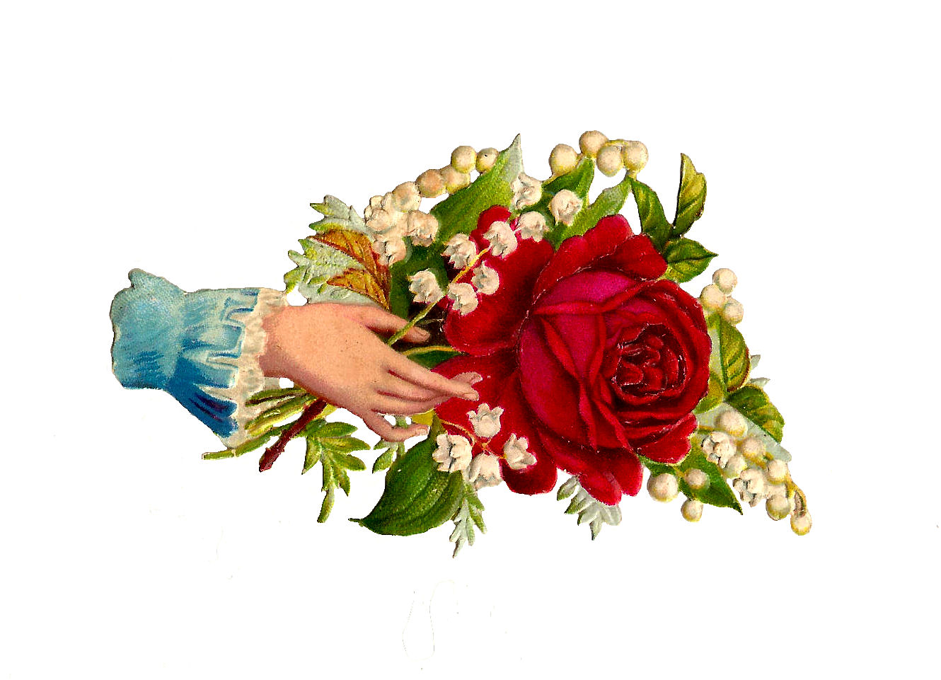 Antique Images: Free Rose Clip Art: Antique Red Rose and Lily of the