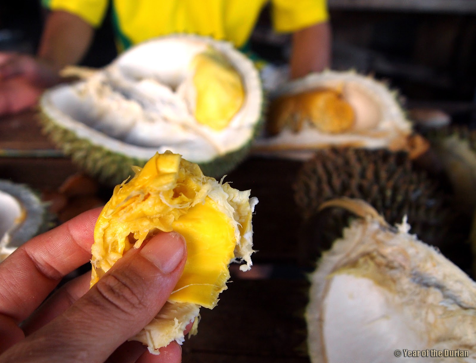 Year of the Durian: Tasting the Most Expensive Durian in the World
