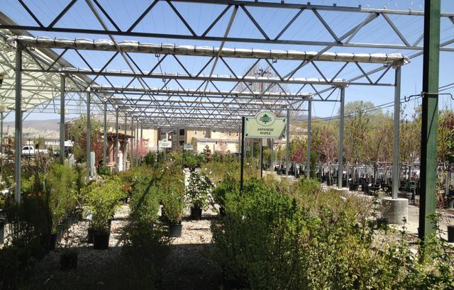 moana nursery goodies for gardeners in south reno area moana nursery goodies for gardeners in south reno area