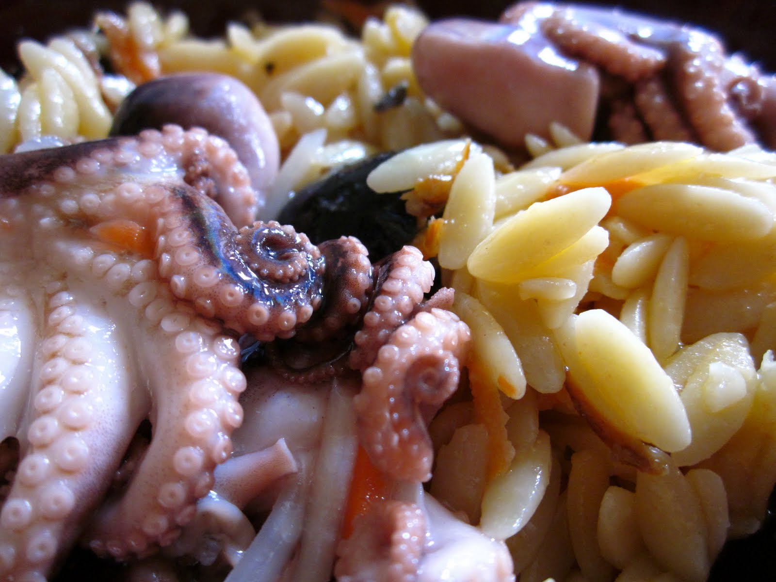 Octopus and Orzo Salad