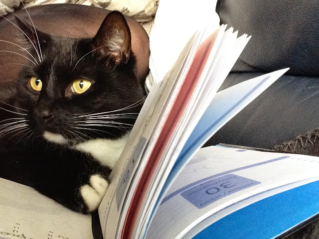 Scream your heart out!