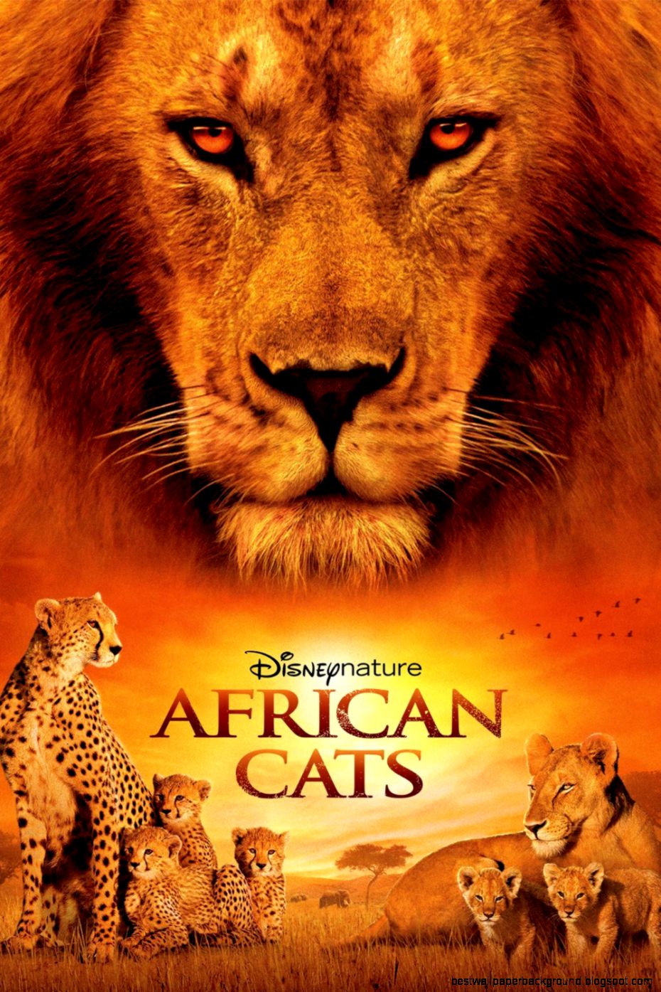 Subscene Subtitles for African Cats Subscene Subtitles for African Cats