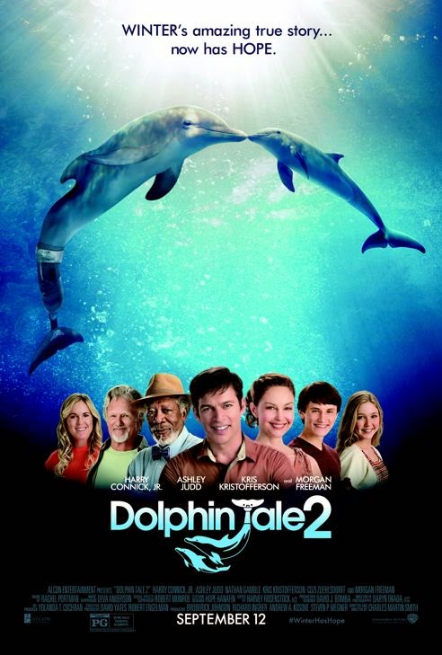 dolphin tale 2 dolphin tale 2