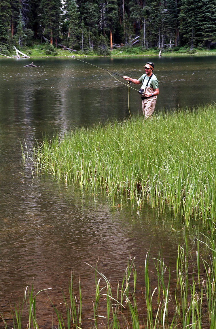 Colorado Wilderness Hiking and Camping in the Backcountry The Savage