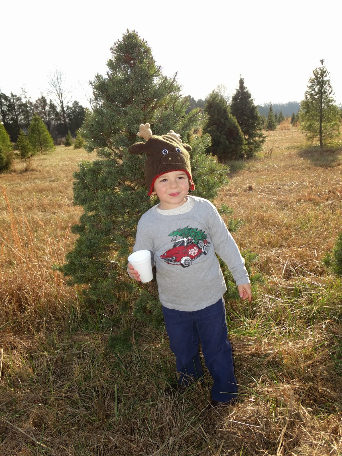 2304 Miles Christmas Tree Farms Old Stone Farm and Evergreen Acres