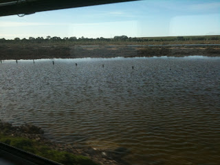 a view of a body of water from a train window