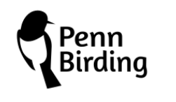 Penn Birding