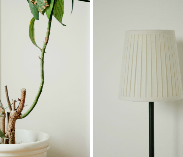 signora aurora: Bedroom