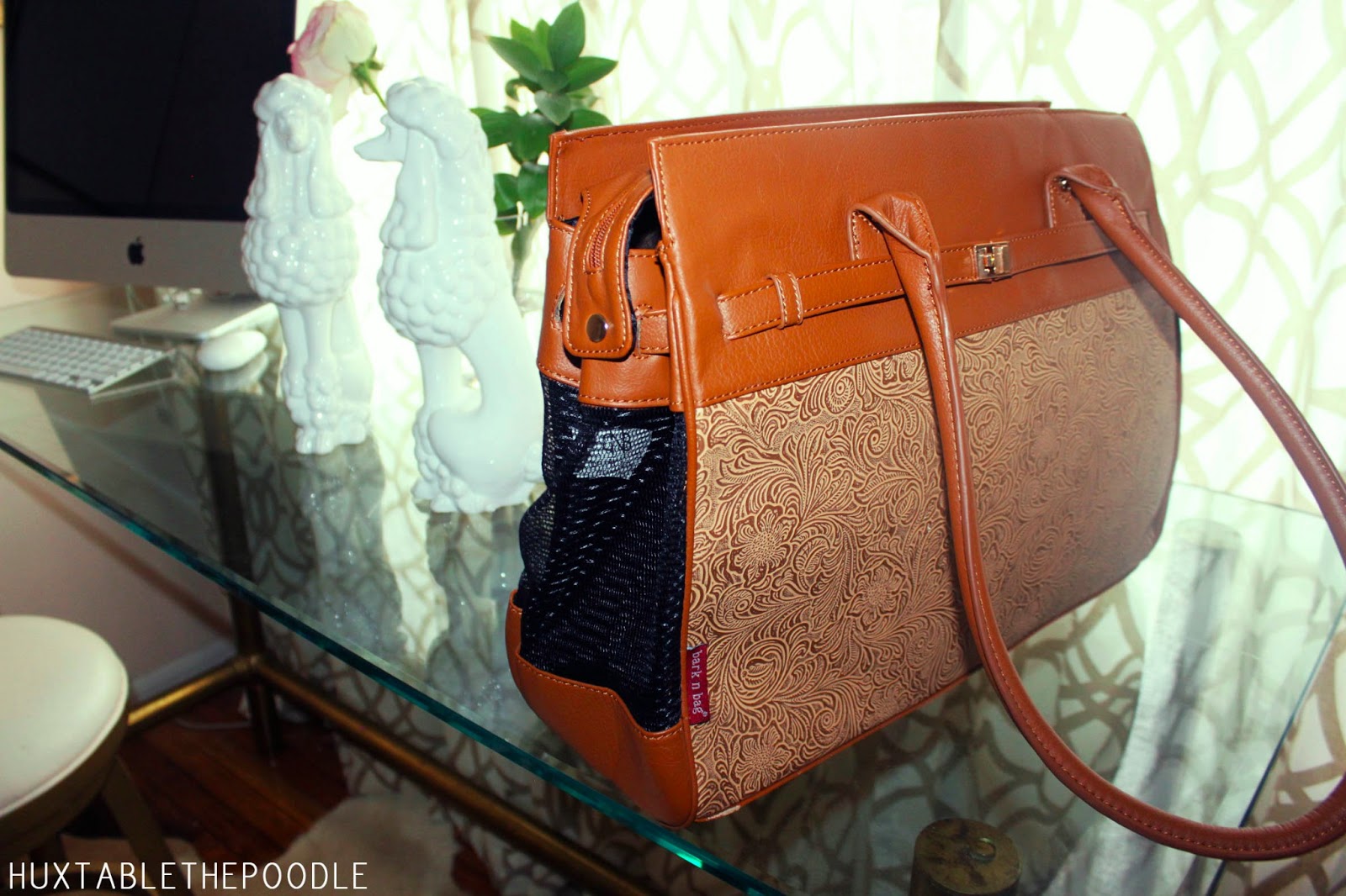 Huxtable The Poodle Toy Poodle Blog Parti Poodle TJ Maxx HomeGoods