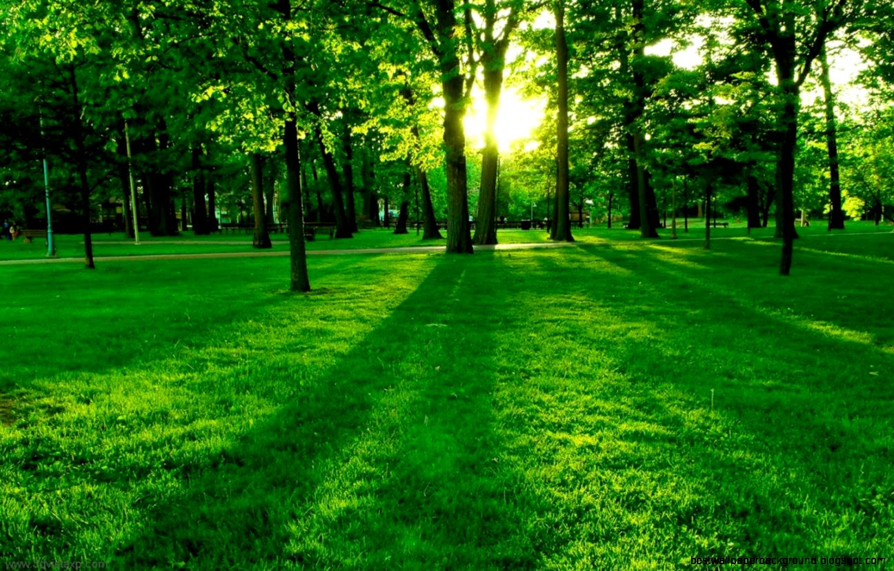HD Beautiful Nature Wallpaper 302 Wallpapers Wallpaper HD Beautiful Nature Wallpaper 302 Wallpapers Wallpaper