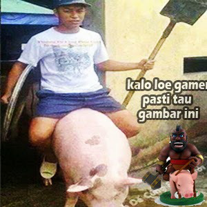 DP BBM Meme COC naik babi tes coc
