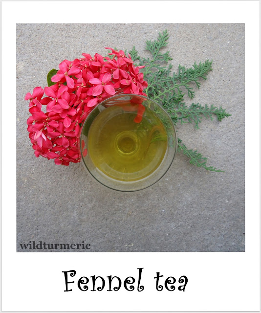 5 Amazing Health Benefits of Fennel Tea + Recipe wildturmeric