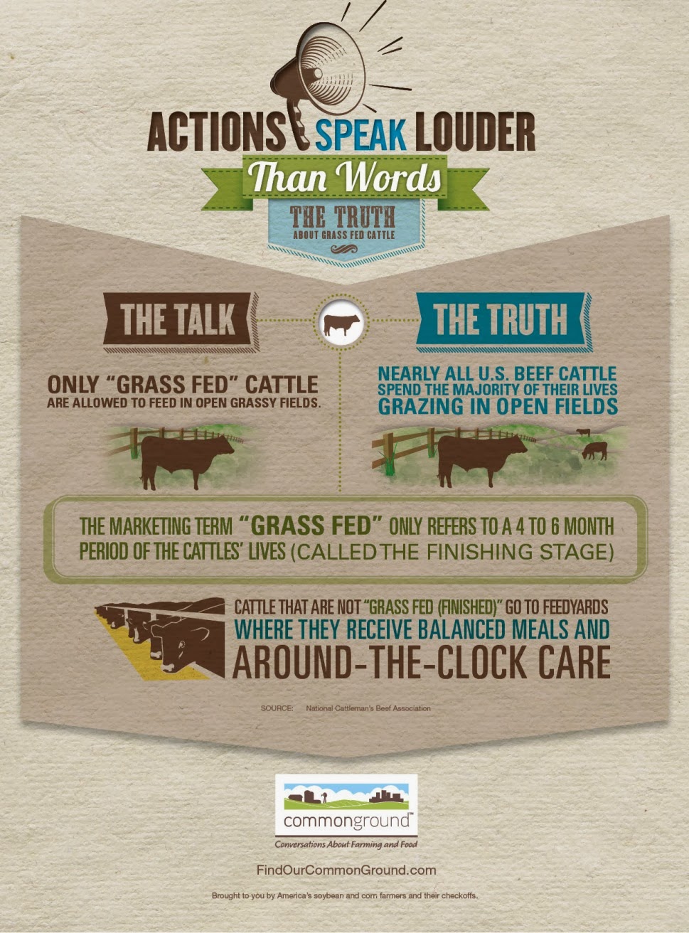 Grass Fed and Corn Fed Cattle