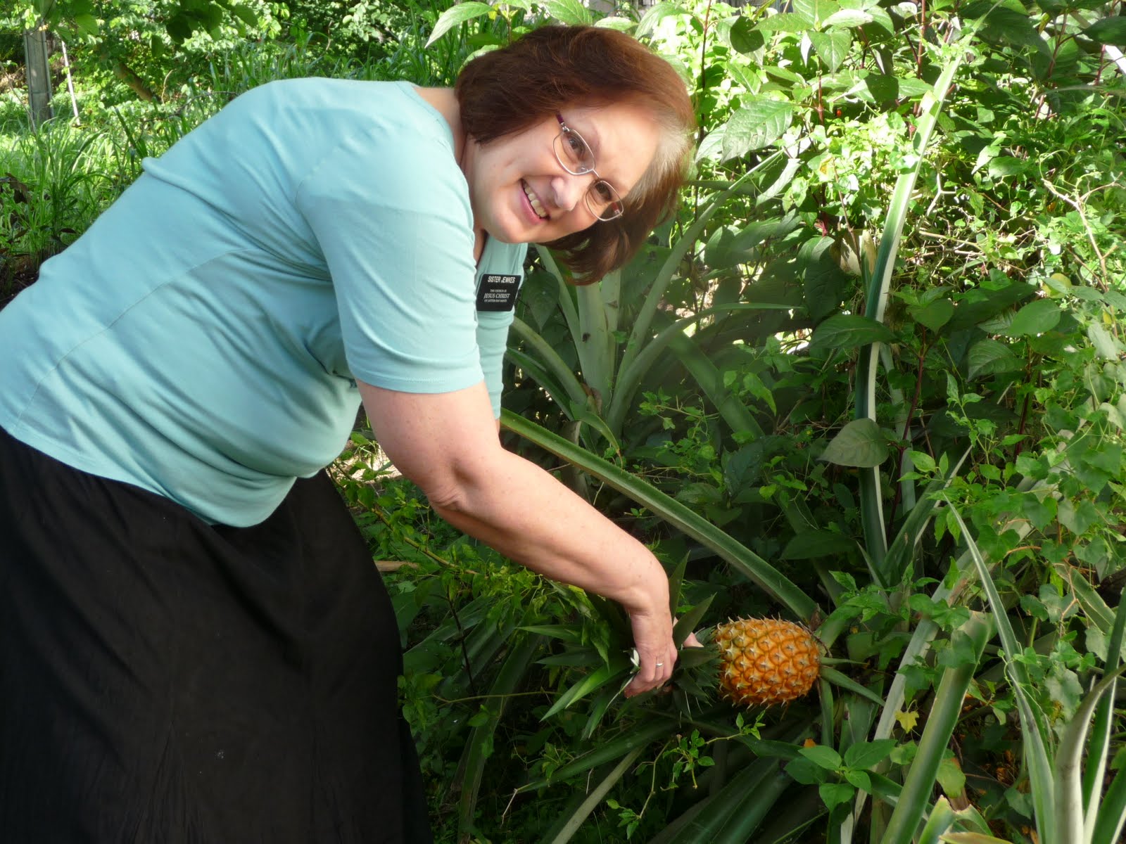 Connie's Chronicles Fresh Pineapple