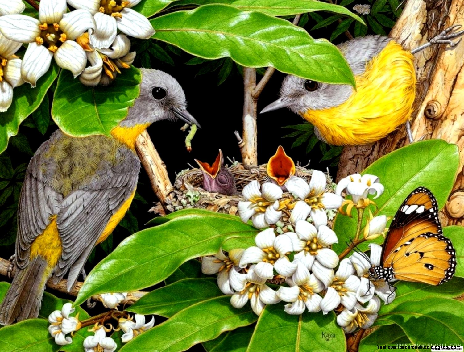 Bird Pair Bird Pair
