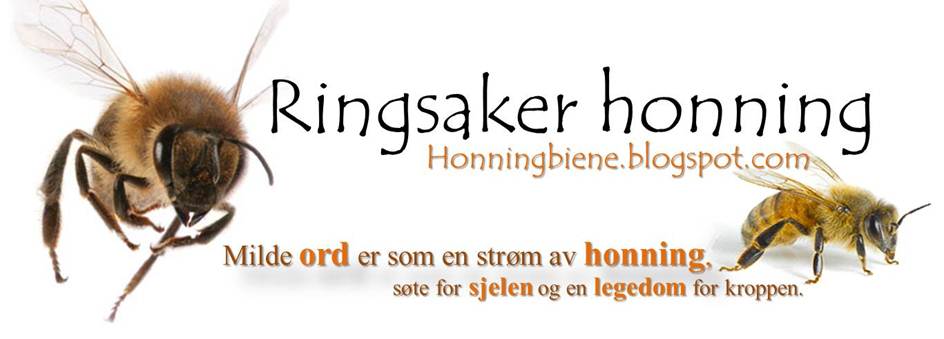 Ringsaker honning