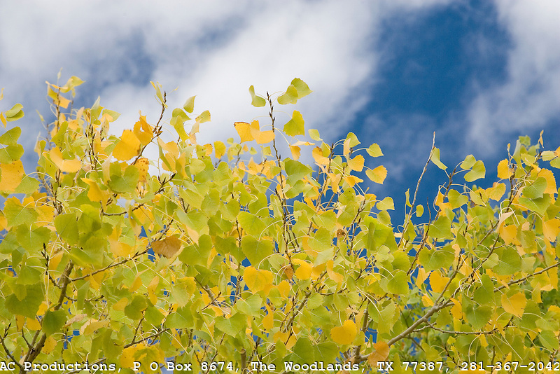 My Wishing Rock 1970 The Secret of the Cottonwood Star