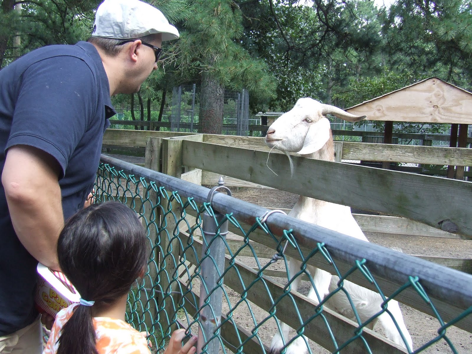 A Harmonious Combination Popcorn Park Zoo