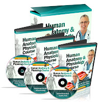 Human Anatomy DVD