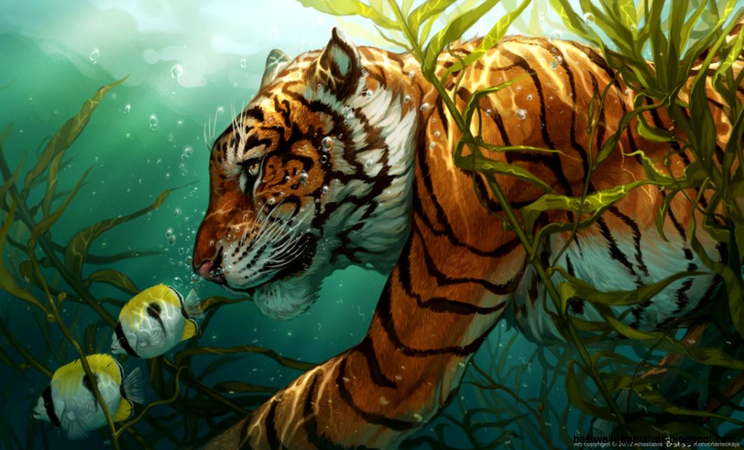 TiGer Tigers Fan Art 31322661 Fanpop TiGer Tigers Fan Art 31322661 Fanpop