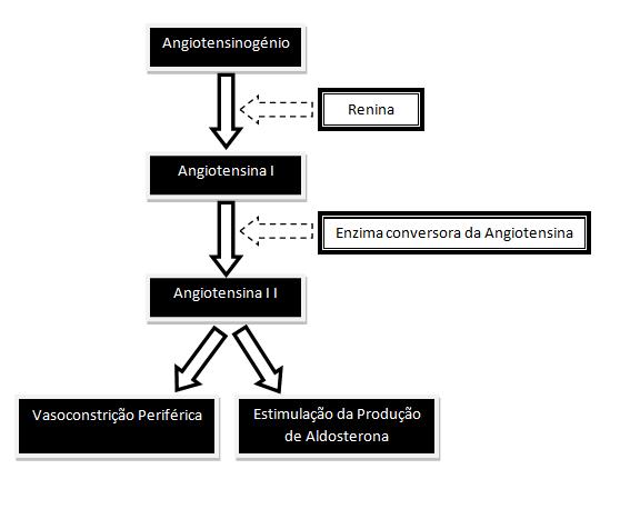 Lisinopril: wirkung, anwendungsgebiete, 