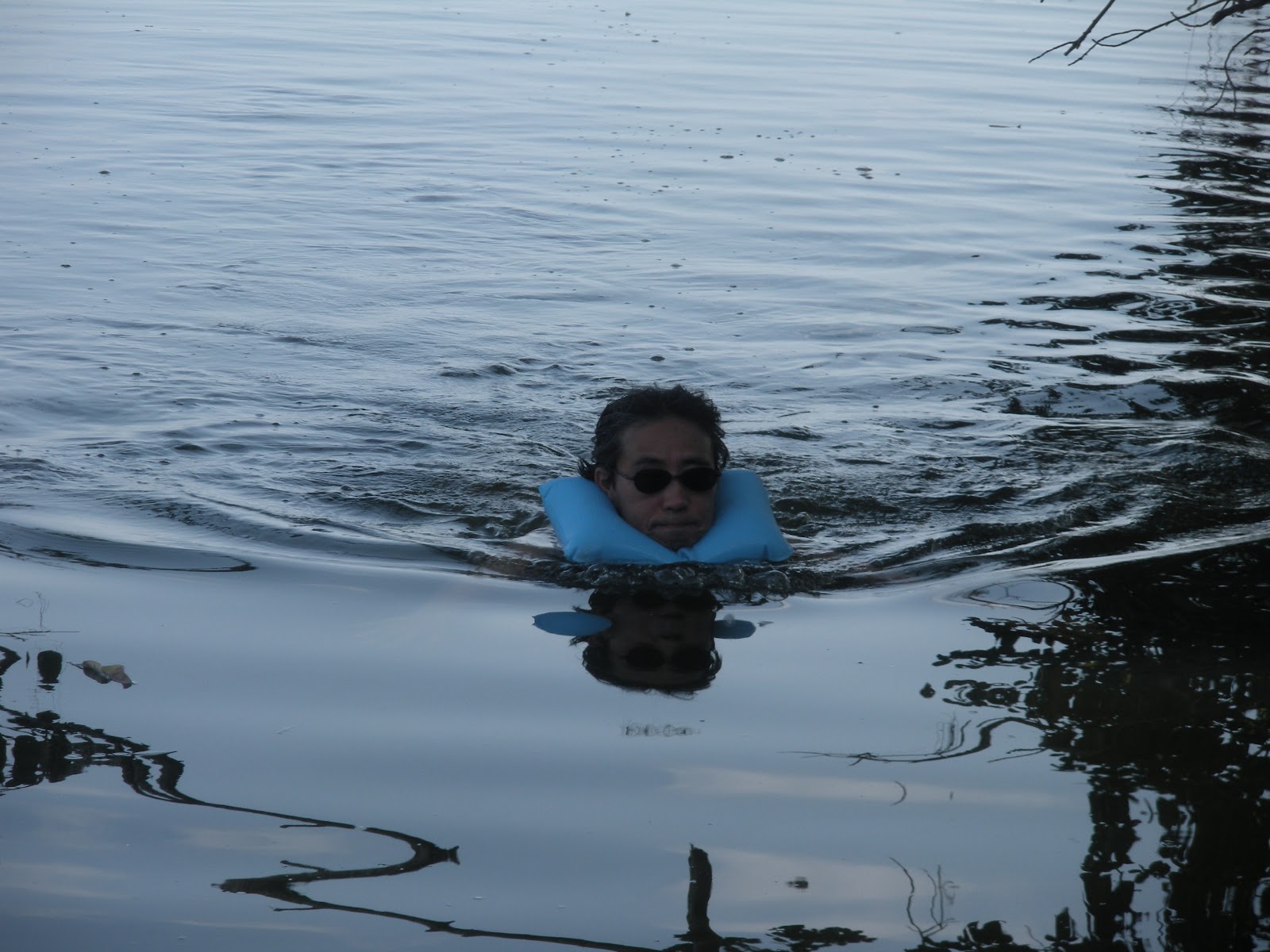 Kees Reports 2012