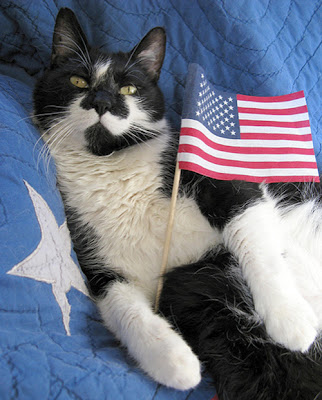 Cats+And+Dogs+Tolerate+Flag+%25285%2529.jpg