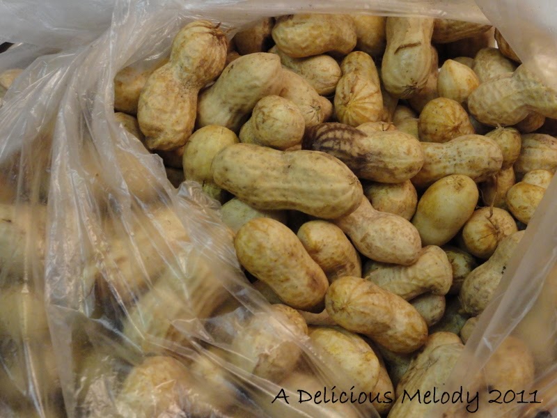 A Delicious Melody How to make Boiled Peanuts or Roasted Peanuts