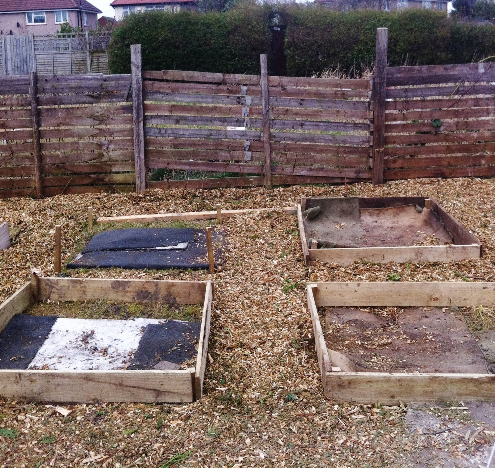 How To Make Raised Beds For Allotment at Katherine Watson blog