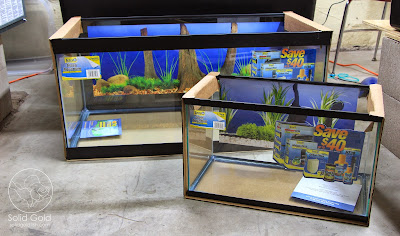 Petco’s Dollar per Gallon Sale is on! – Solid Gold Aquatics