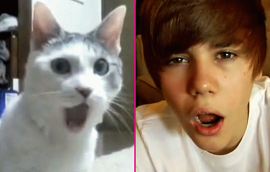 justin bieber funny captions pictures. girlfriend justin bieber funny