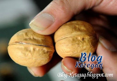 Kacang walnut palsu dari China