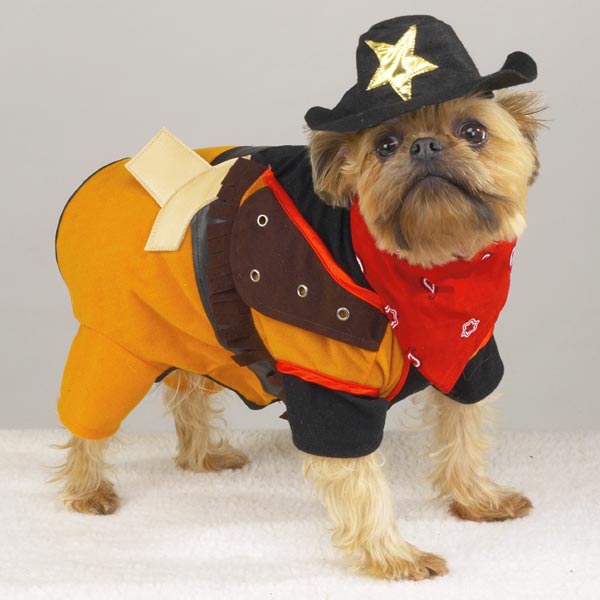 صور كلاب مضحكة Most-funny-dog-costumes+(4)