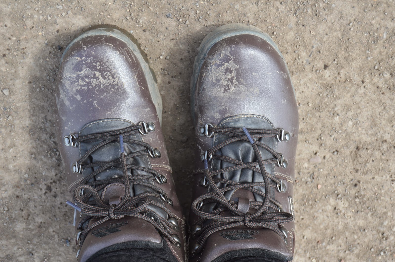 Trespass Rhine Women's Walking Boots Review We're going on an adventure