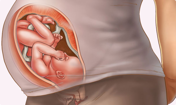 tryck i huvudet gravid tryck i huvudet gravid