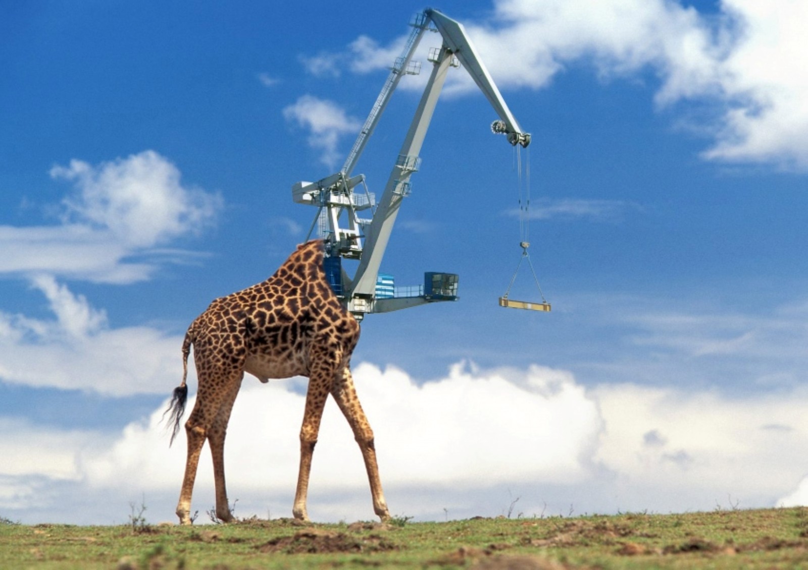 Entree Kibbles The Undisputable Giraffe Crane